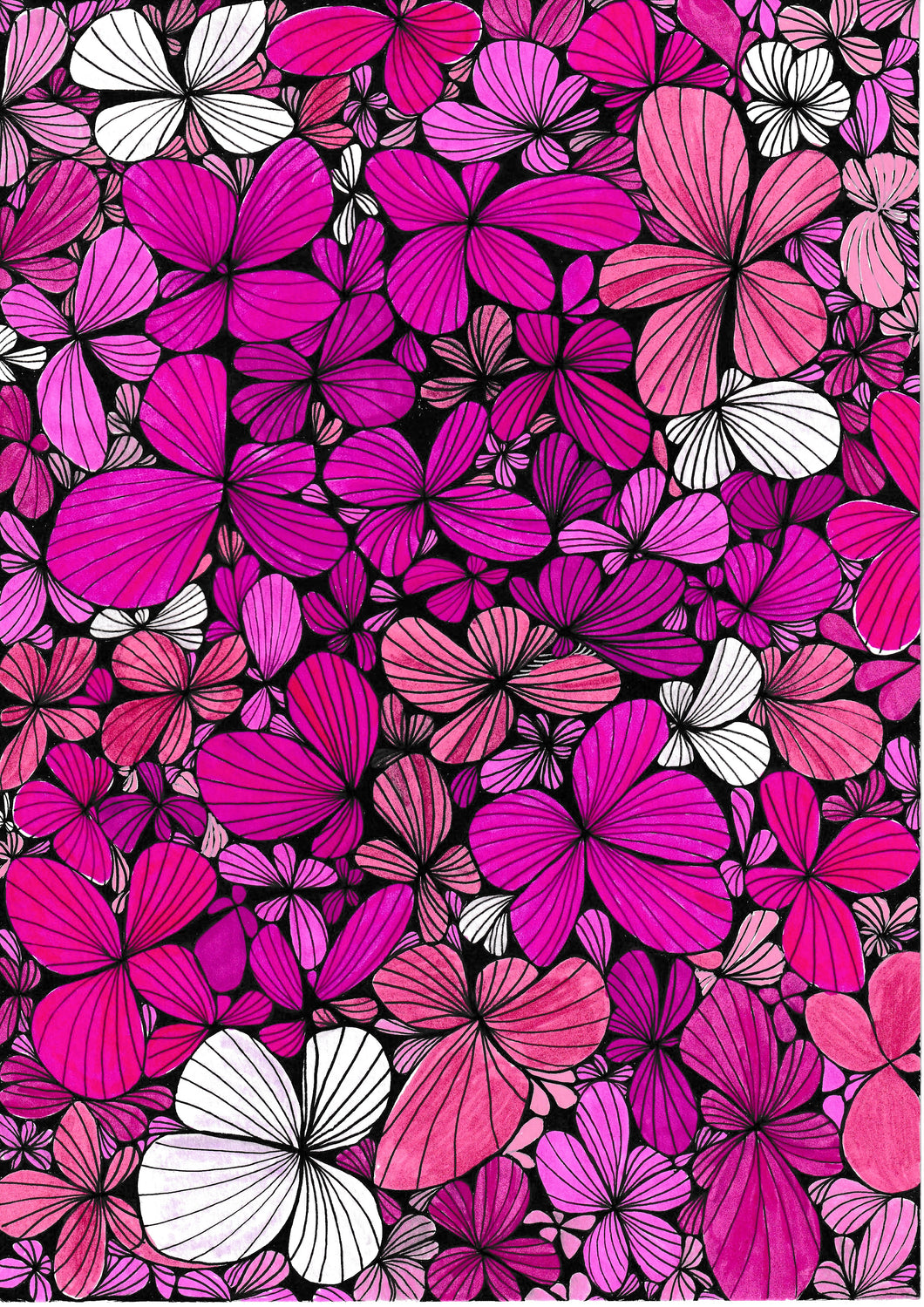 Pink Butterflies